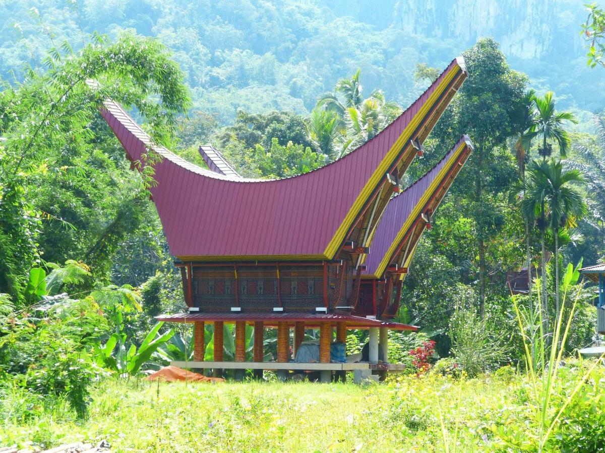 Toraja Torsina Hotel 란테파오 외부 사진